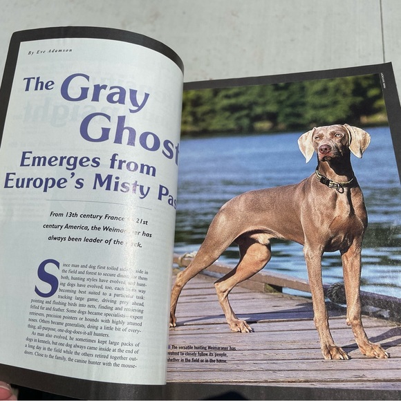 Dog Fancy Popular Dogs Series Weimaraners Volume 42 Magazine Format 128 pages - Picture 5 of 8